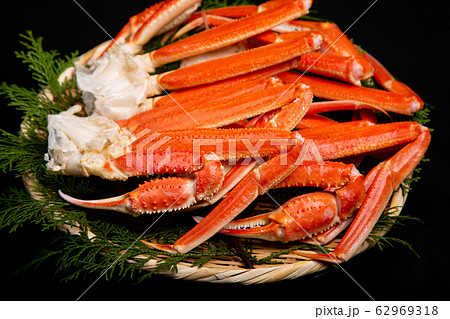 ズワイガニの足　食材 62969318