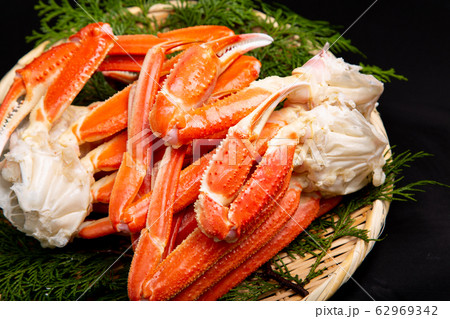 ズワイガニの足 食材 ズワイガニの足 食材 62969342
