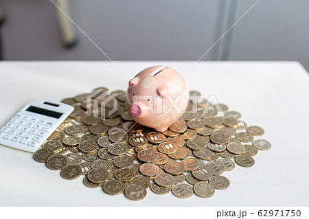 500円玉　貯金箱 62971750