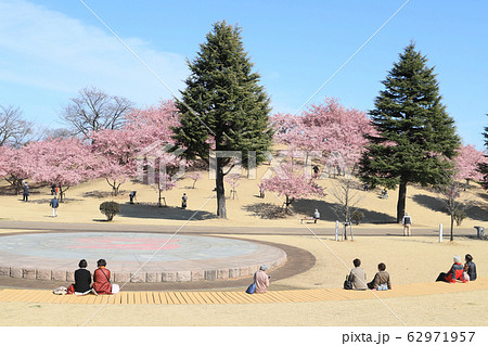 いせさき市民のもり公園 いせさき市民のもり公園 62971957