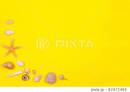 Sea shells, starfish on a yellow background. 62972460