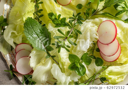 Detail of a spring salad with radishes and wild edible plants Detail of a spring salad with radishes and wild edible plants 62972532
