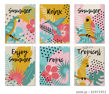 tropical birds and tropical flowers vector set tropical birds and tropical flowers vector set 62972952