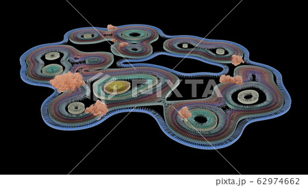 Malignant (Cancerous) Nodules On Cell Organelles Malignant (Cancerous) Nodules On Cell Organelles 62974662