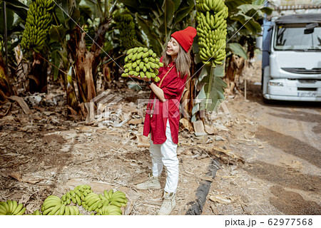 Woman with banana stem on the pantation 62977568