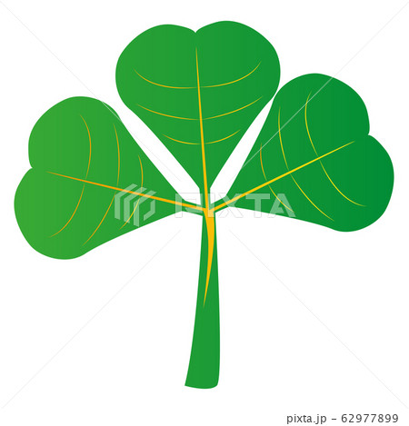 Isolated clover icon Isolated clover icon 62977899