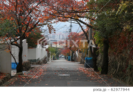 西宮市 苦楽園一番町 西宮市 苦楽園一番町 62977944