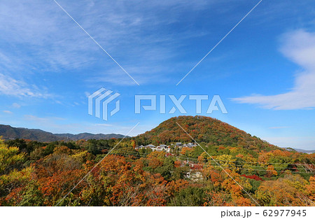 西宮市 甲山の秋 西宮市 甲山の秋 62977945