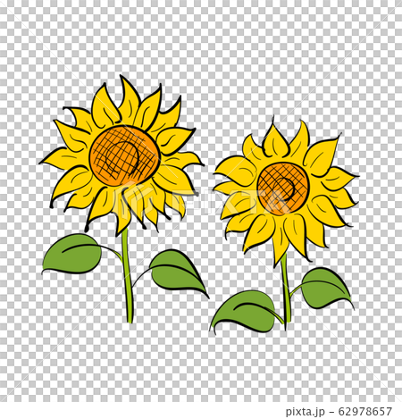 レトロなひまわりのイラスト ベクターのイラスト素材