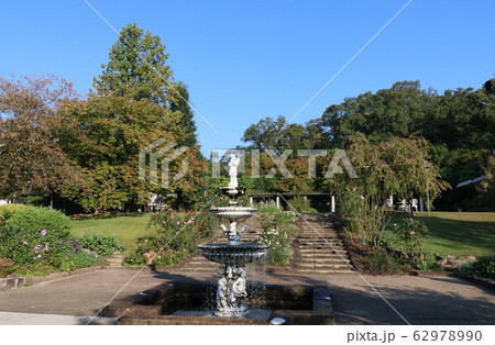 西宮市 北山緑化植物園 西宮市 北山緑化植物園 62978990