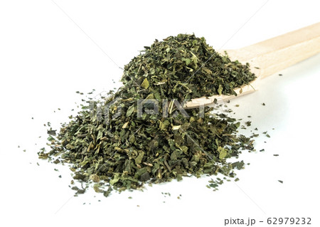 dried nettle herb or in latin Utricae folium dried nettle herb or in latin Utricae folium 62979232