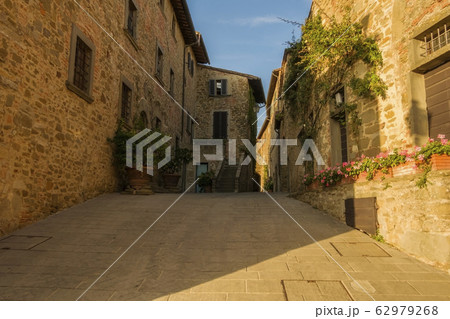 Cityscape of the fortified medieval village 62979268