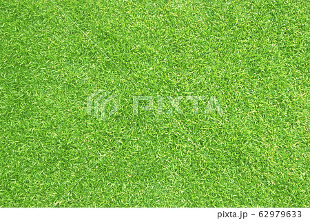 Green grass background Green grass background 62979633