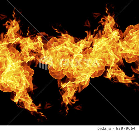 Fire flames on a black background Fire flames on a black background 62979664