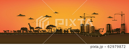 stop poaching save wild animals 62979872