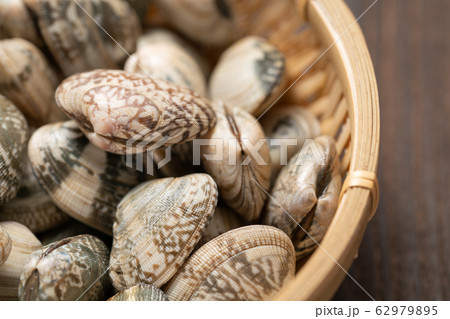 あさり あさり 62979895