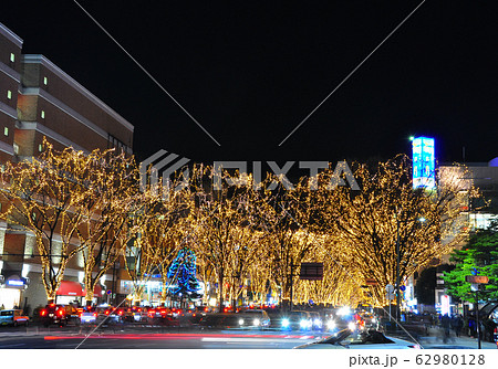 仙台・光のページェント2019 仙台・光のページェント2019 62980128