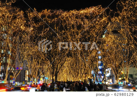 仙台・光のページェント2019 62980129