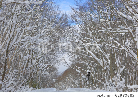 八甲田雪景色 八甲田雪景色 62980685