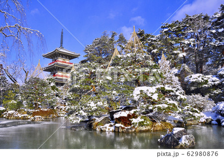 曹洞宗金剛宝山輪王寺の日本庭園　三重塔と雪吊り 62980876