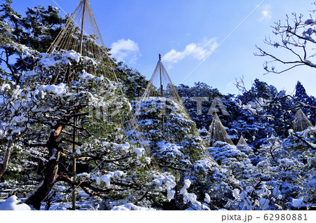 曹洞宗金剛宝山輪王寺の日本庭園の雪吊り 曹洞宗金剛宝山輪王寺の日本庭園の雪吊り 62980881