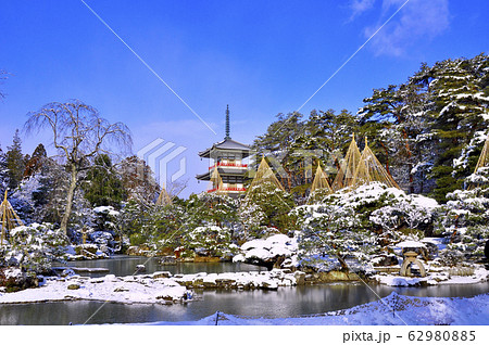 曹洞宗金剛宝山輪王寺の日本庭園　三重塔と雪吊り 62980885