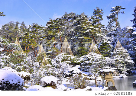 曹洞宗金剛宝山輪王寺の日本庭園の雪吊り 62981188