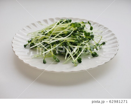 有機 野菜 撫順 62981271