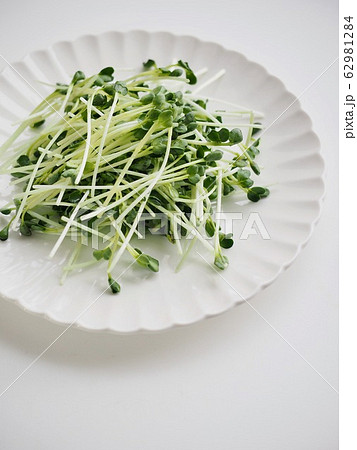 有機 野菜 撫順 62981284