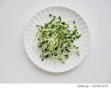 有機 野菜 撫順 62981294