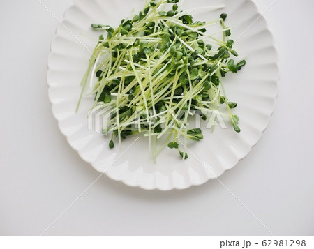 有機 野菜 撫順 62981298