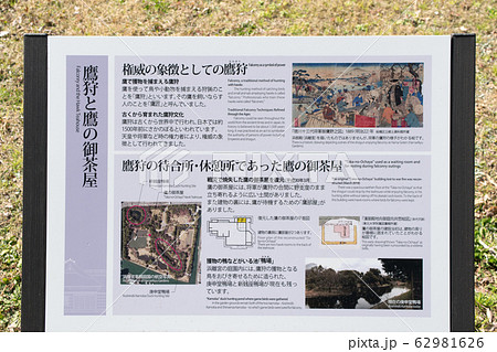 東京都 浜離宮恩賜庭園 大泉水 鷹の御茶屋 東京都 浜離宮恩賜庭園 大泉水 鷹の御茶屋 62981626