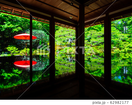 新緑の旧竹林院 62982177