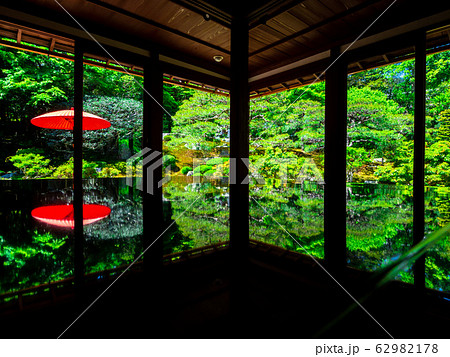 新緑の旧竹林院 62982178