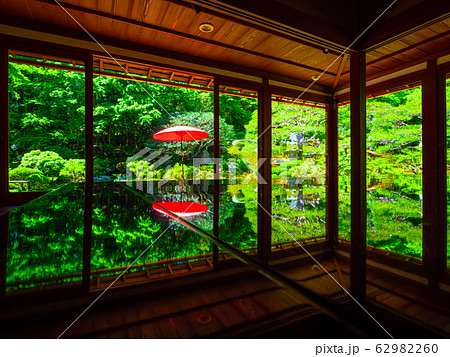 新緑の旧竹林院 62982260