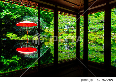 新緑の旧竹林院 62982269