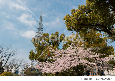 Nagoya tv tower in night with beautiful cherry 62982567