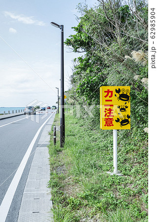 カニ注意の道路標識を見る海沿いの道路 62985904