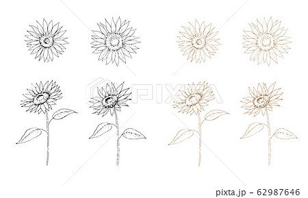 Sunflower Line Art Set Stock Illustration