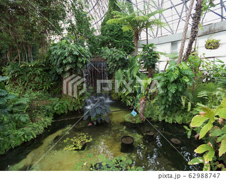 東京都　夢の島熱帯植物館 62988747
