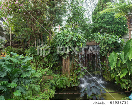 東京都　夢の島熱帯植物館 62988752