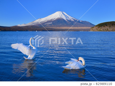 山中湖畔からの風景-777186 62989110
