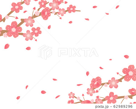 桜 サクラの木 春の背景イメージバナー イラストのイラスト素材