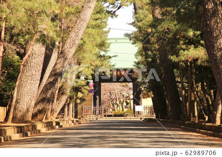 豪徳寺山門 豪徳寺山門 62989706