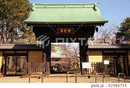 豪徳寺山門 62989754