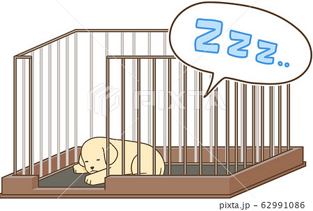ゴールデンレトリバーの子犬 サークルの中で寝る2 のイラスト素材