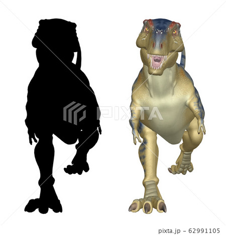 TRex 3d isolated TRex 3d isolated 62991105