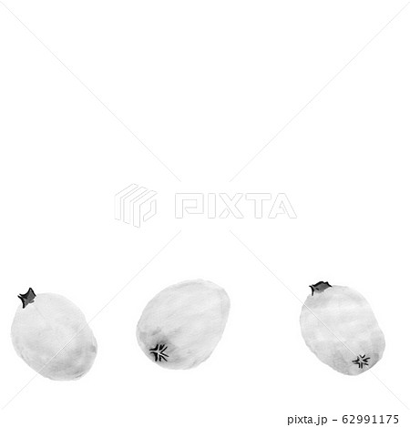 びわ 墨の手描きイラスト のイラスト素材 62991175 Pixta