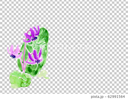 Katakuri Katakuri 62991564