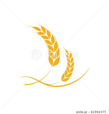 wheat vector logo